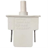 картинка Выключатель света 306(5) (FN11-05) однокнопочный, 2 контакта 250V, 0.5A для холодильника  от магазина Интерком-НН