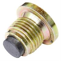 картинка Asam 80102 пробка резьбовая с магнитом масляного поддона двигателя для автомобиля Renault Logan  от магазина Интерком-НН
