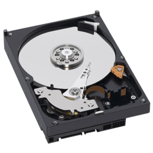 изображение Жесткий диск Western Digital 2000 Gb 32 Mb SATA-III WD2001FYYG магазин Компании Интерком-НН картинка Жесткий диск Western Digital 2000 Gb 32 Mb SATA-III WD2001FYYG от магазина Интерком-НН