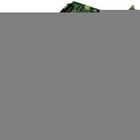 картинка Panasonic KX-TDA0288 XJ, плата BRI4 на 8 портов ISDN BRI от магазина Интерком-НН