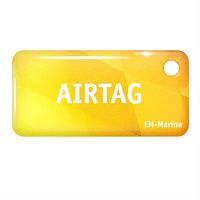 картинка EM-Marine AIRTAG Standart RFID-брелок (125кГц), 25x51x3.8мм (желтый) от магазина Интерком-НН