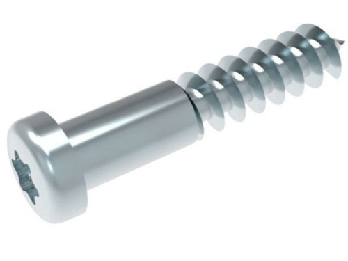 картинка Bosch 10003574 Винт для холодильника Bosch от магазина Интерком-НН