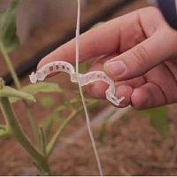 картинка Садовые клипсы (зажимы для фиксации) 23мм для подвязывания растений 1000 шт от магазина Интерком-НН
