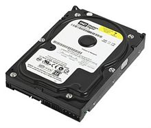 картинка Жесткий диск Western Digital 250 Gb 32 Mb SATA WD2500AAJS от магазина Интерком-НН