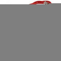 картинка DeLonghi 5013252961 предохранитель для кофемашины  от магазина Интерком-НН