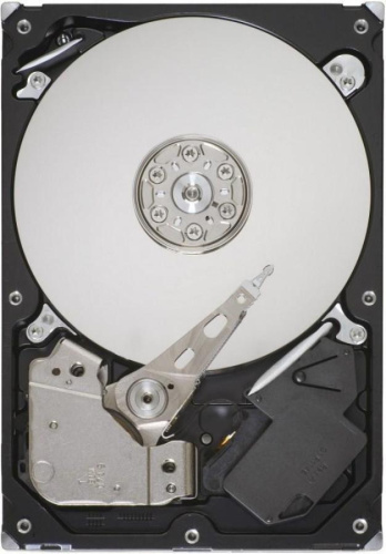 картинка Жесткий диск Seagate1000 Gb 64 Mb SATA-III ST1000DL003 от магазина Интерком-НН