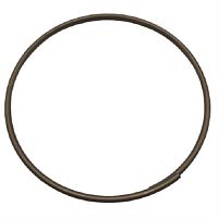 картинка Thomas 124099 прокладка (уплотнитель) для пылесоса Inox от магазина Интерком-НН